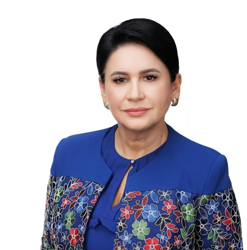 Deputatul PSD Viorica Sandu, la întâlnirea cu delegația FMI: România are nevoie de consolidare bugetară corectă și investiții
