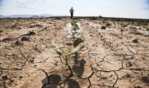 Ministerul Agriculturii continuă să facă bilanțul secetei. Galațiul, printre cele mai afectate județe