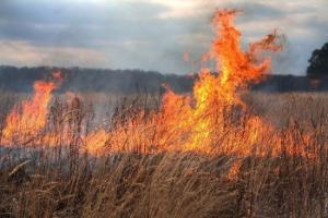 S-au lăudat că sprijină agricultorii, acum i-au băgat la cheltuieli ”imposibile”