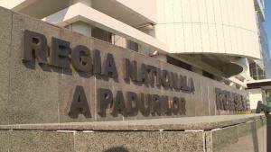 Romsilva anunță că decizia prin care 43.227 de hectare de păduri se retrocedau în Bacău a fost anulată