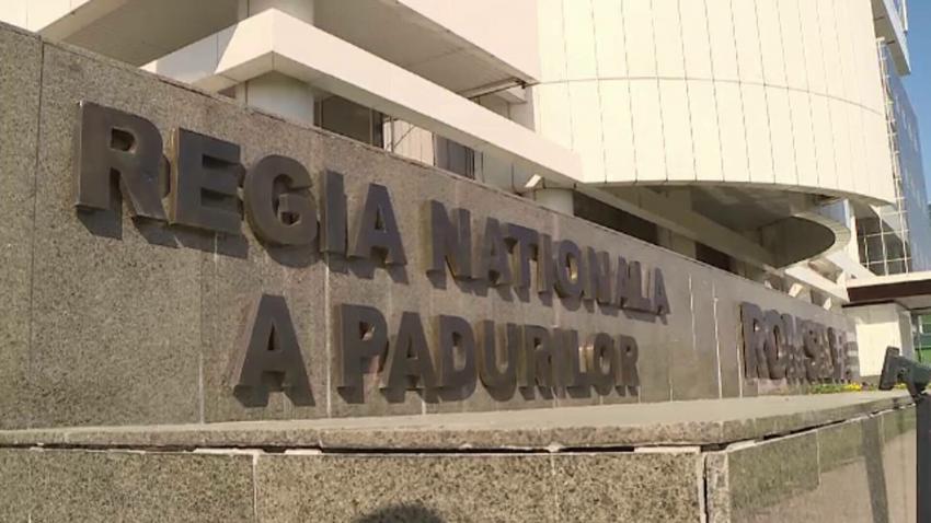 Romsilva anunță că decizia prin care 43.227 de hectare de păduri se retrocedau în Bacău a fost anulată