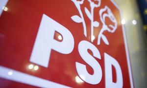 Petre Florin Manole, validat ca deputat PSD