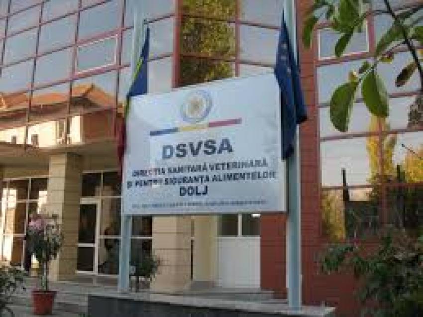 Sănătatea animalelor şi siguranţa alimentară, în atenţia DSVSA Ilfov