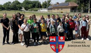 Aproape 200 de proiecte ONG vor fi susținute financiar de Consiliul Județean Sălaj