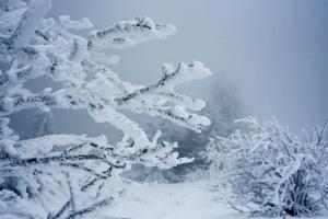 Frig în toată România. Prognoza ANM până la începutul lunii februarie