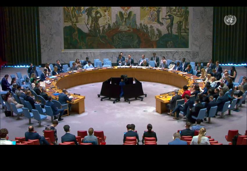 România cere sesiune specială a Consiliului de Securitate ONU după incidentul dronei de la Galați