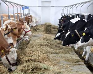 Credite garantate de stat pentru fermierii din sectorul zootehnic