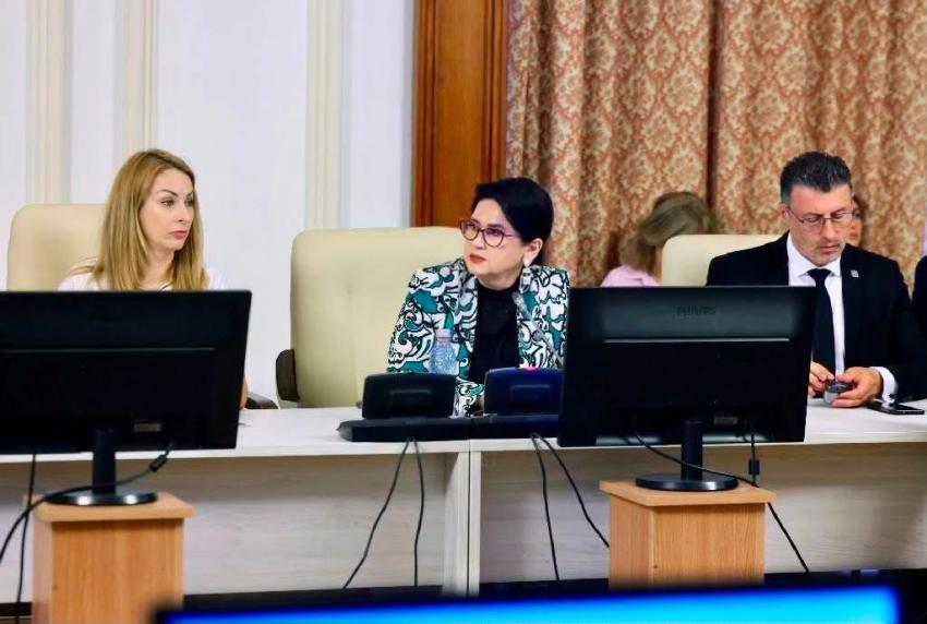 Deputatul Viorica Sandu a participat la audierile miniștrilor propuși pentru noul Guvern: „România are nevoie de stabilitate și soluții concrete”