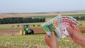 Fermierii au timp până pe 13 iunie să depună cererile de plată la APIA