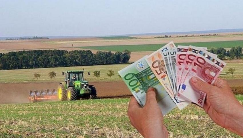 Fermierii au timp până pe 13 iunie să depună cererile de plată la APIA