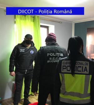 11 diicot