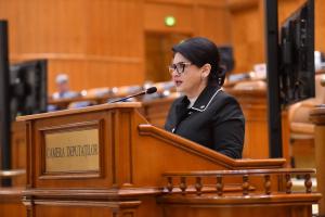 Deputatul Viorica Sandu: „Ajustările fiscale nu trebuie să reducă nivelul de trai al românilor”
