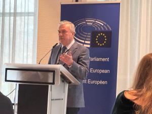 Bruxelles: Industria oțelului românesc, protejată prin noul regulament european susținut de Dan Nica